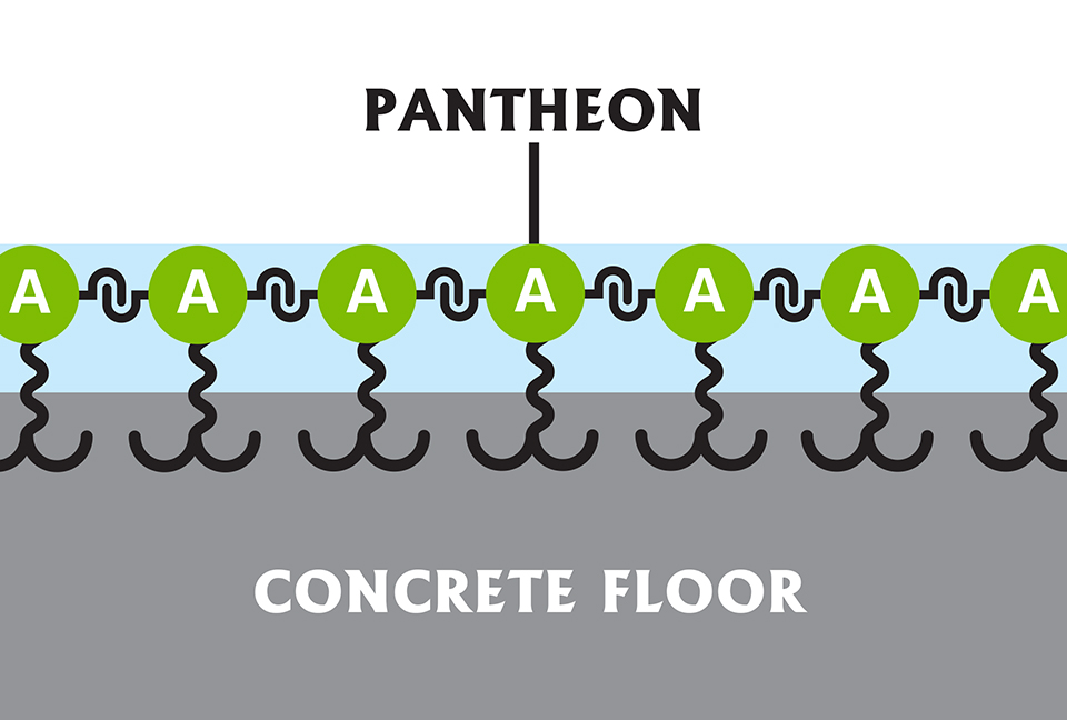 pantheon-adhesion-slide